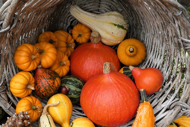 Winter Squash